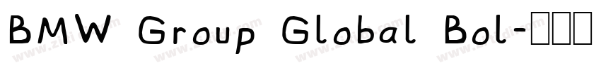 BMW Group Global Bol字体转换